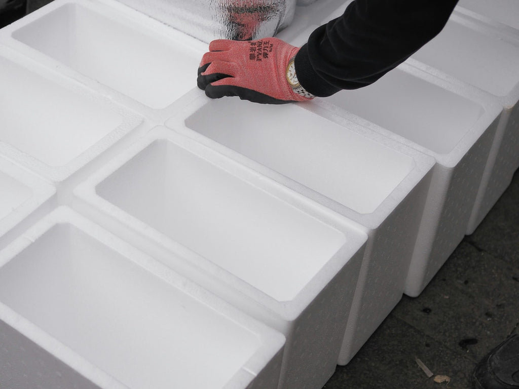 Insulated foam shipper bodies (white EPS boxes) lined up, shown without outer cartons