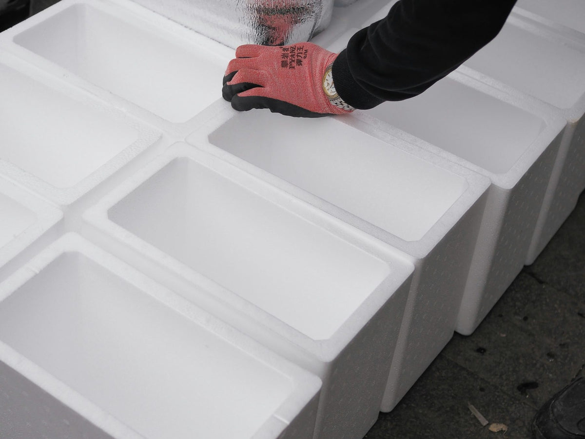 Insulated foam shipper bodies (white EPS boxes) lined up, shown without outer cartons