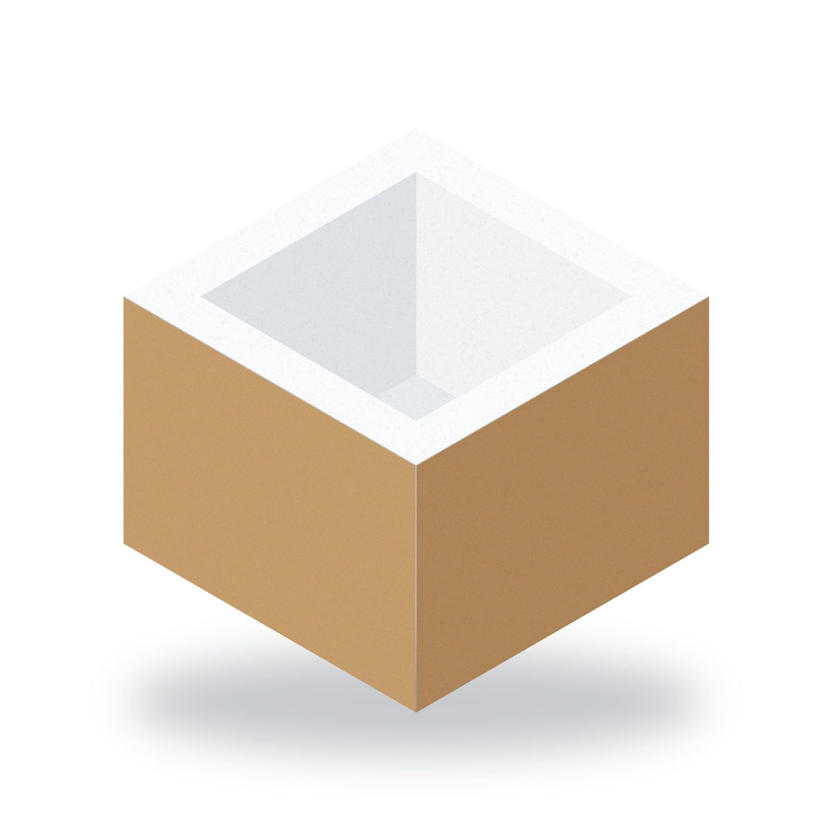 Illustration: insulated foam shipper (EPS) inside its corrugated outer carton