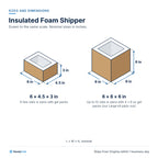 Insulated Foam Shipper with Carton: Sizes and dimensions