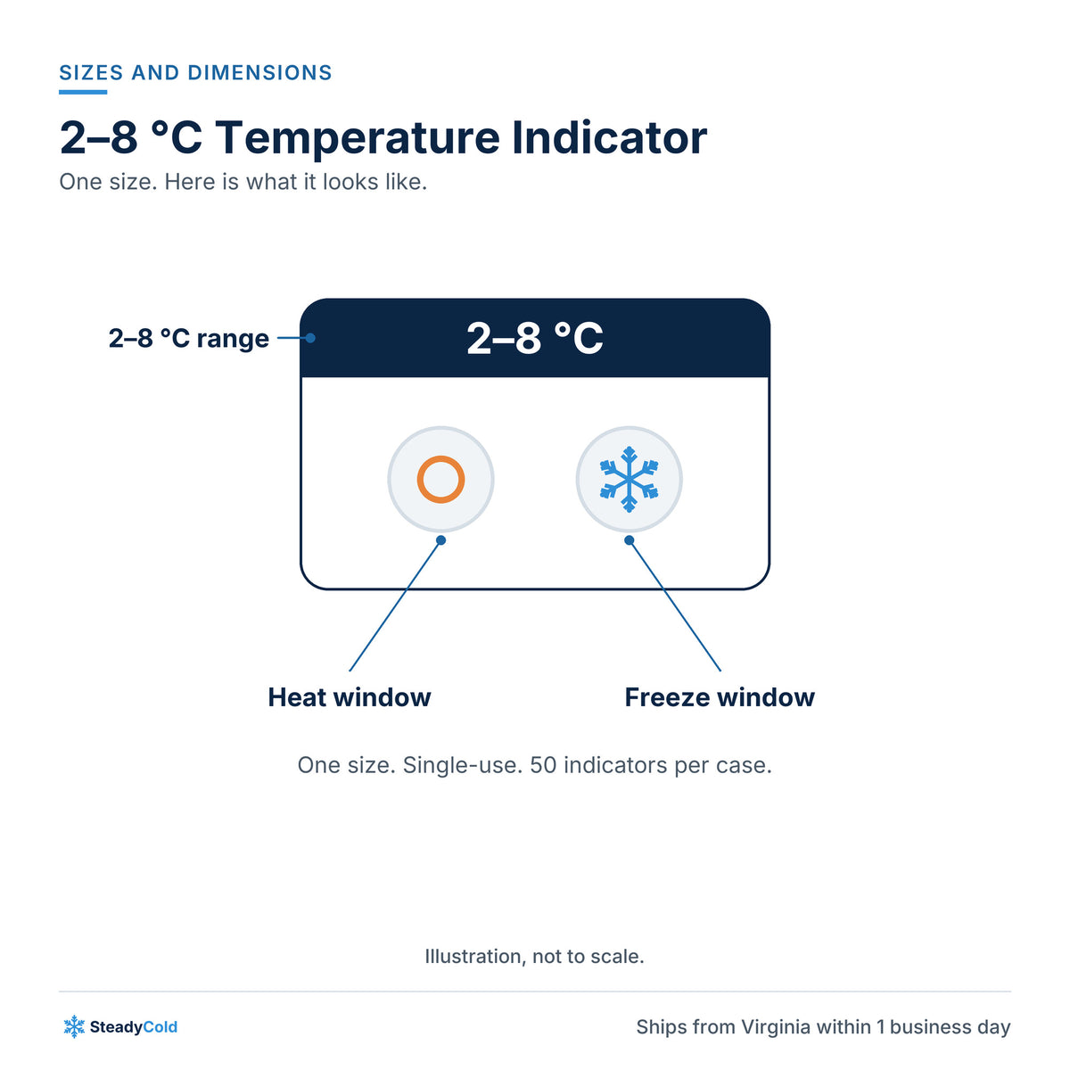 2–8 °C Temperature Indicator (Heat + Freeze): Sizes and dimensions